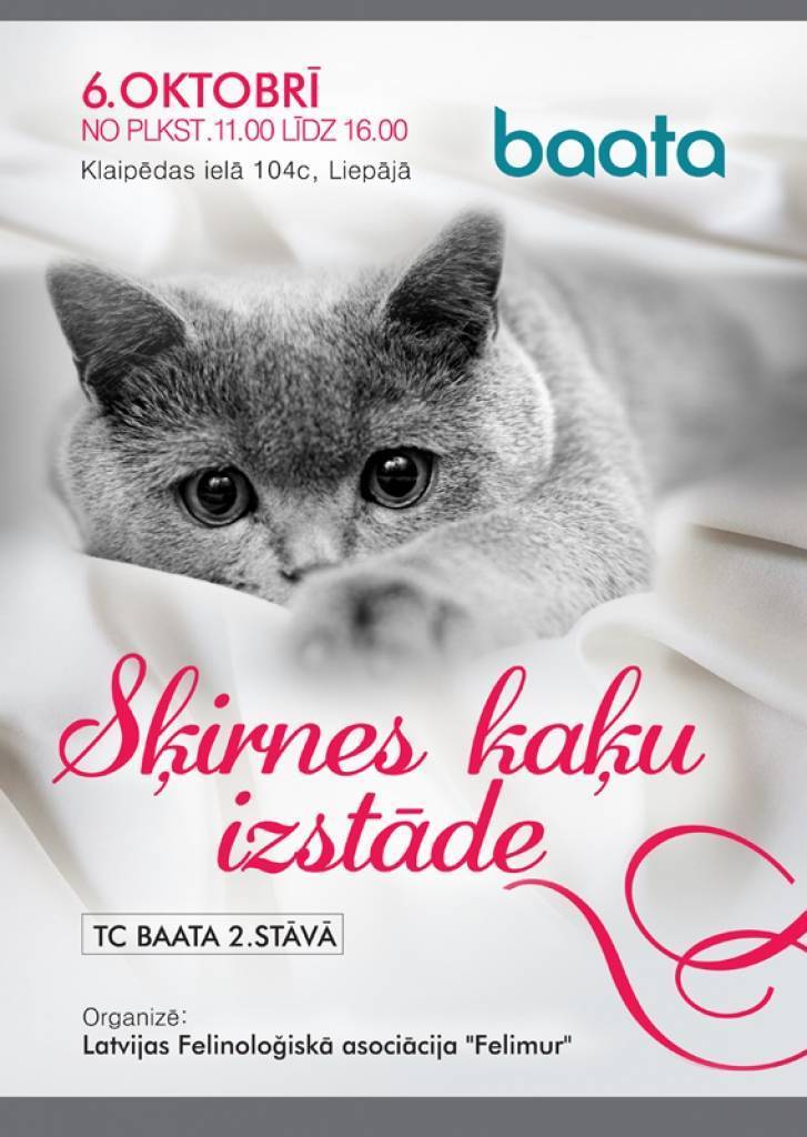 Liepājā notiks šķirnes kaķu izstāde