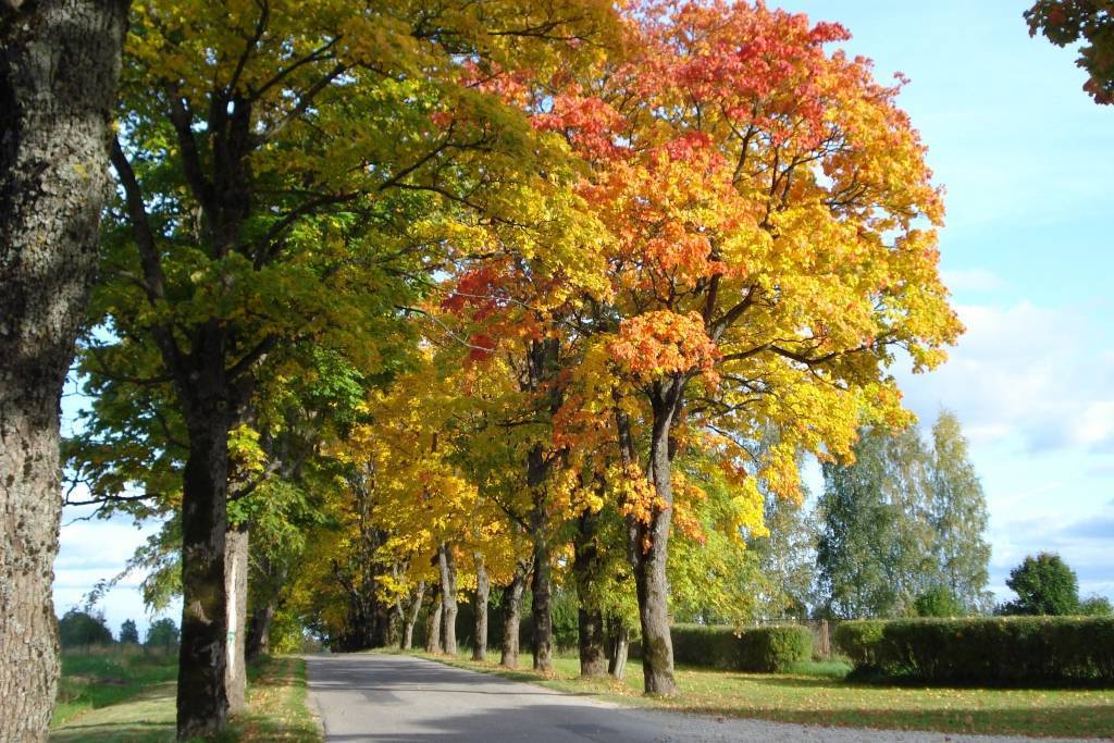Šodien sāksies astronomiskais rudens
