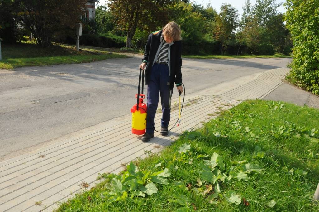 Durbē celiņu tīra ar "ķīmiju"