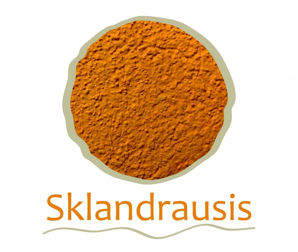 Jaunie mediju mākslinieki uzsāk izstāžu ciklu "Sklandrausis"