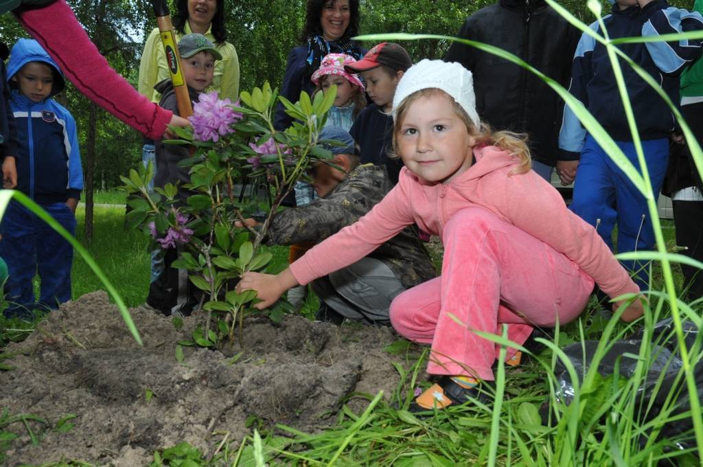 FOTO: Gar veloceliņu tagad rododendri