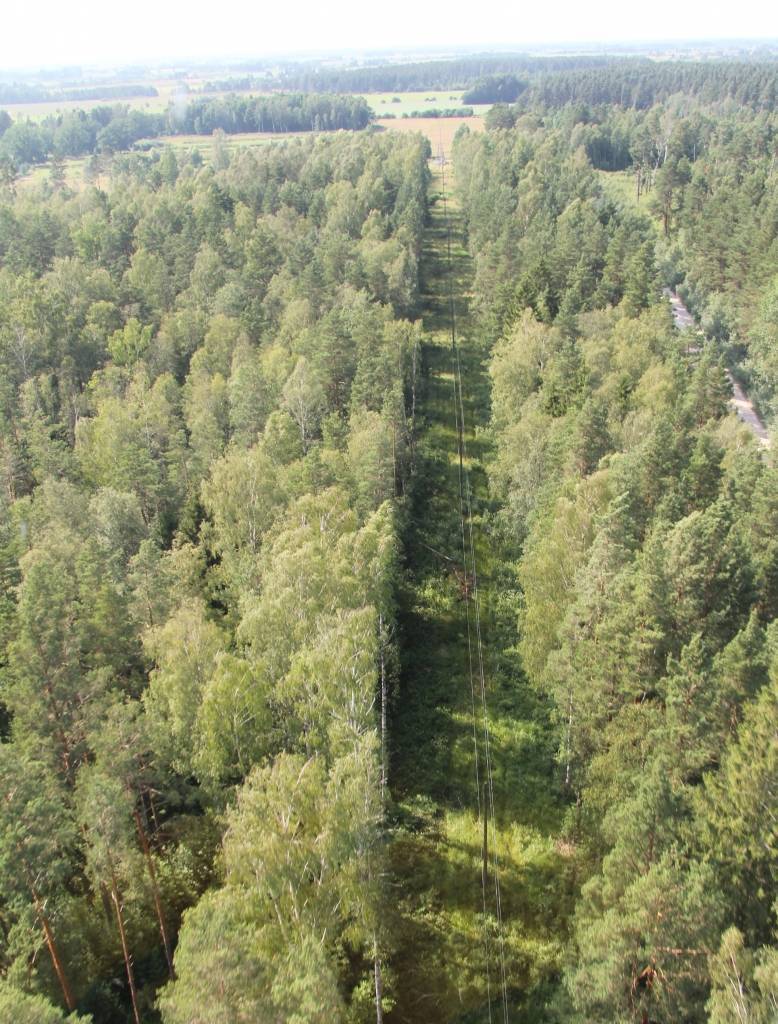 Šogad Kurzemē realizēs 100 investīciju projektus elektroapgādes kvalitātes uzlabošanai