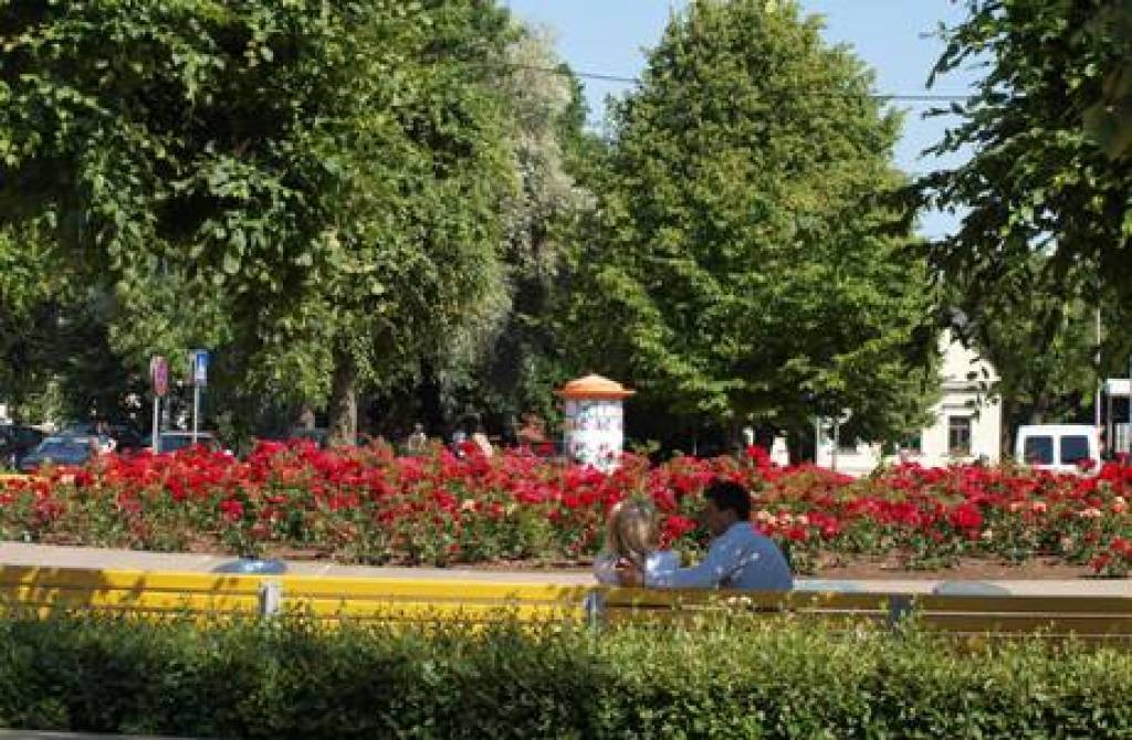 Atklāta desmitā pastaigas "Tiksimies Rožu laukumā!" sezona