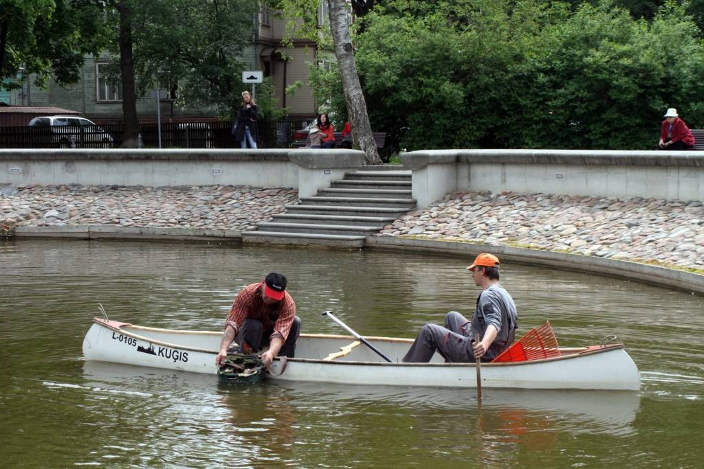 Liepājas Gulbju dīķi turpmāk rotās ūdensrozes