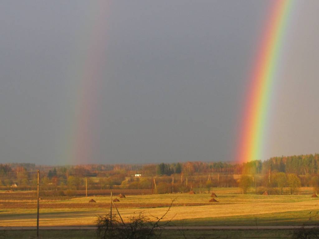 FOTO: Dabas krāšņums Vaiņodē