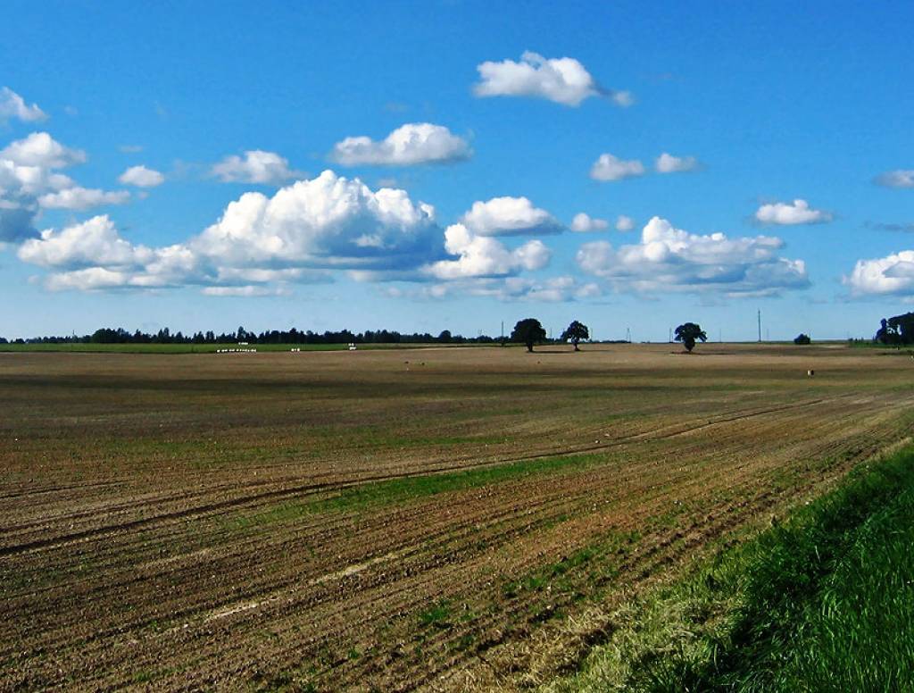 Zemnieku federācija: Kas notiks ar Latvijas laukiem?