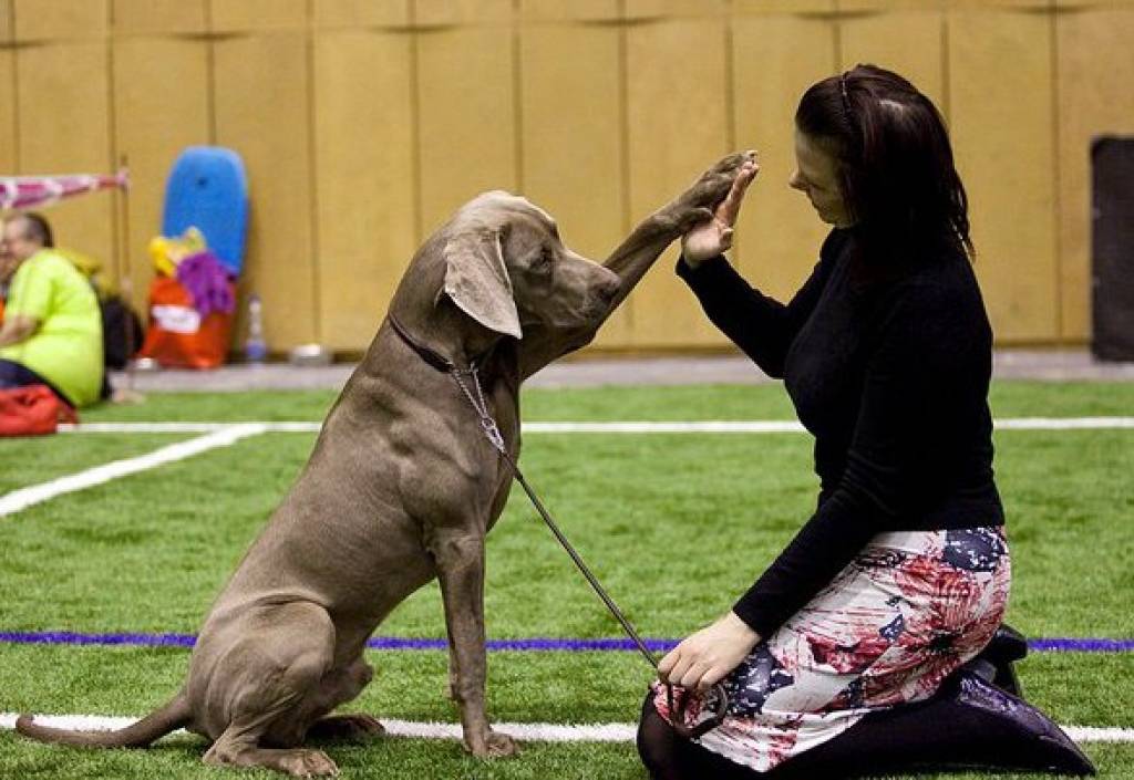 Muzeju naktī kursēs īpašs autobuss uz Karostas cietumu