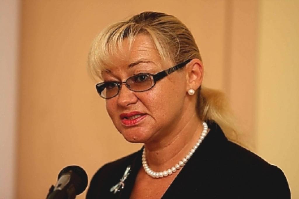 Paševicu uz laiku atstādina no NVA direktores amata