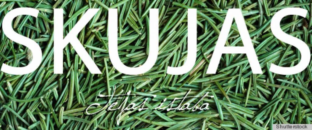 "Tējas istabā" mežs ienāks pilsētā