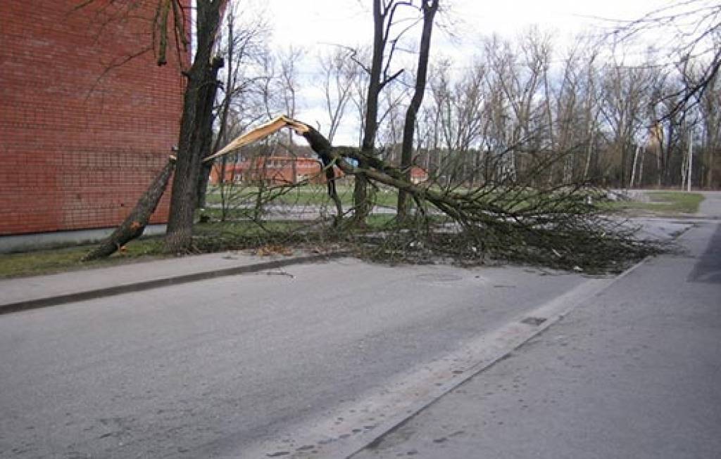 Latvijai tuvojas vētra un deviņu grādu siltums