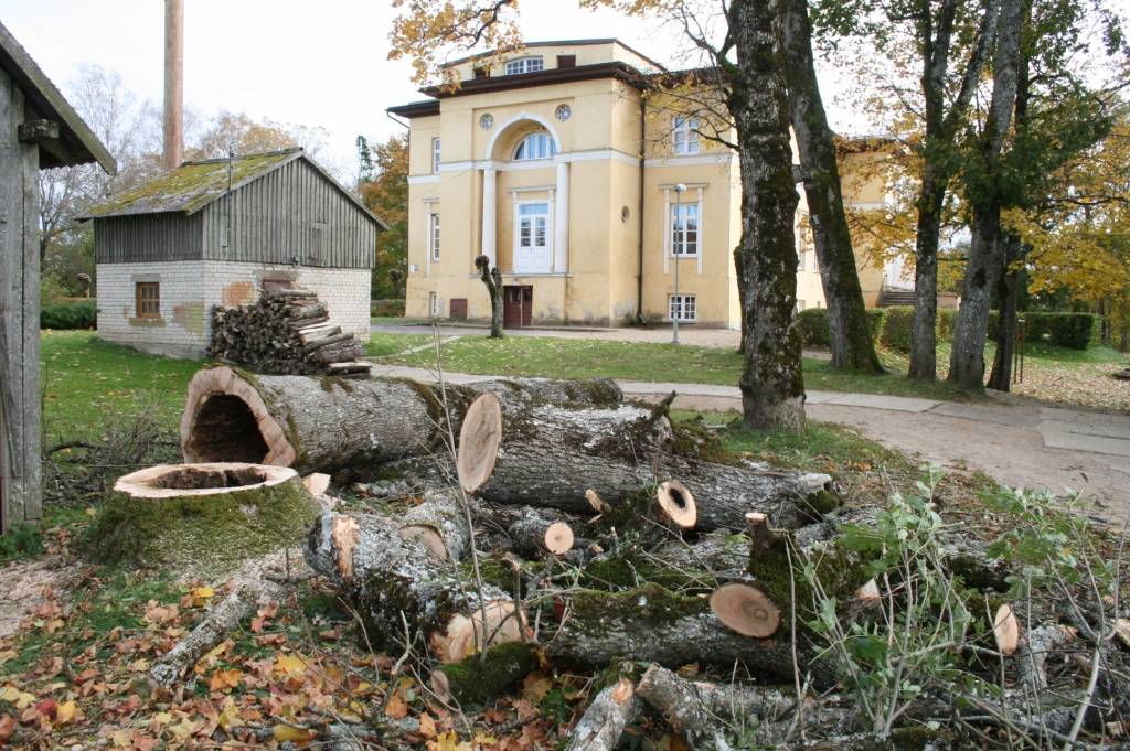 Kalvenē lūst koki, pazūd elektrība 