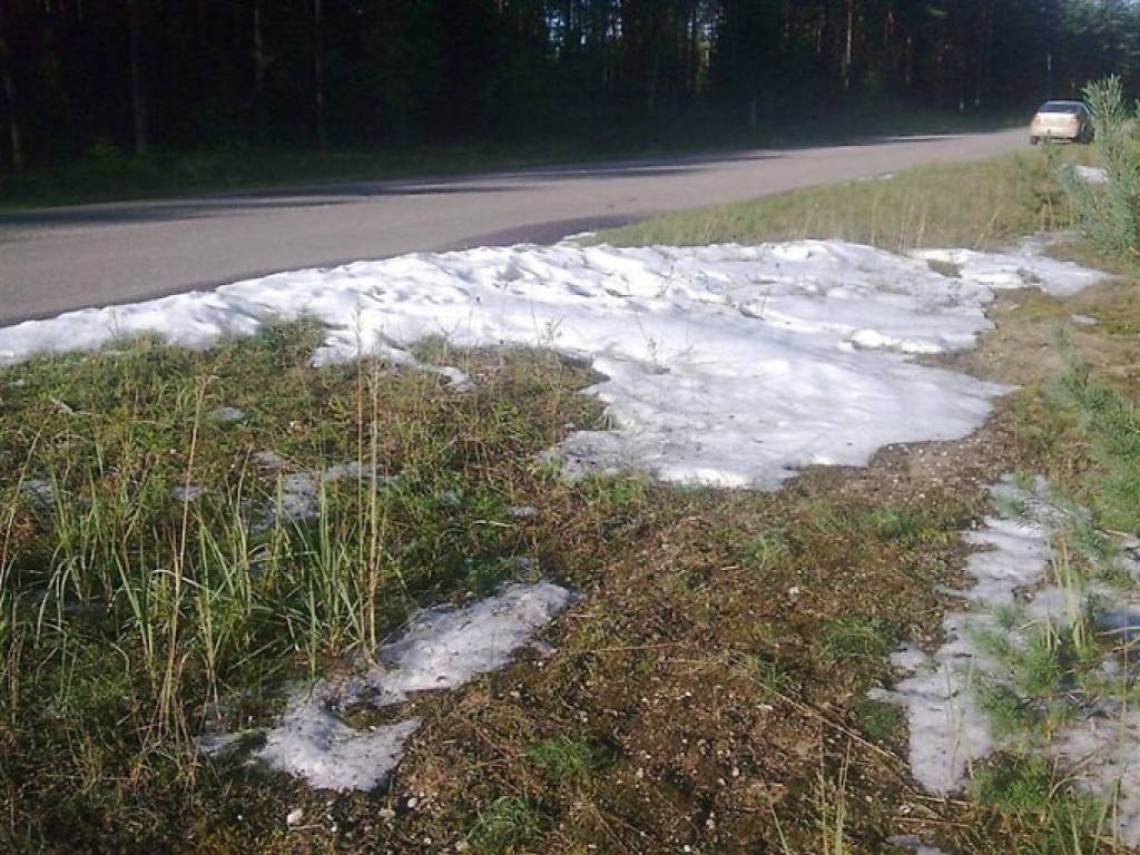 Jaunākās prognozes: ziema kopumā gaidāma silta