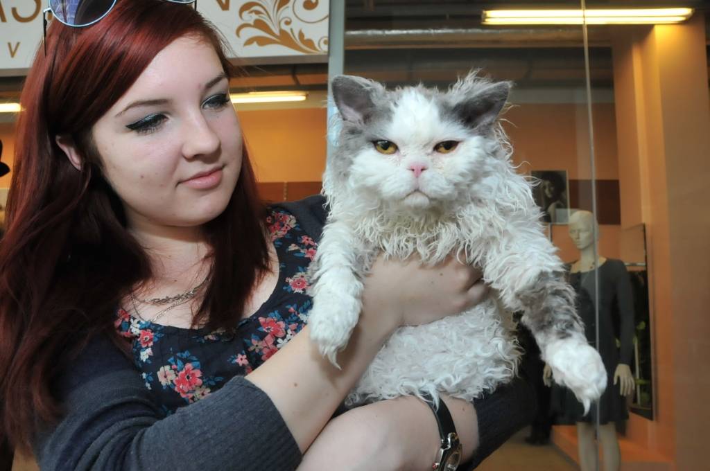 FOTO: Kaķi, dziesmas un modes skate Liepājā