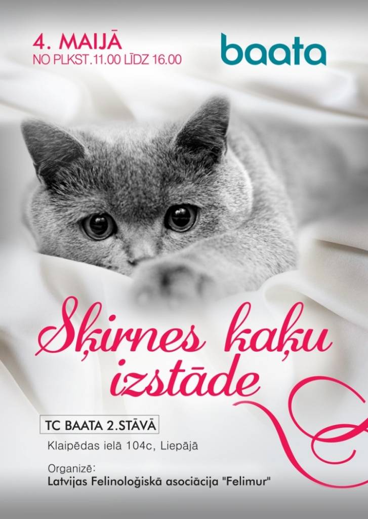 TC "baata" notiks šķirnes kaķu izstāde