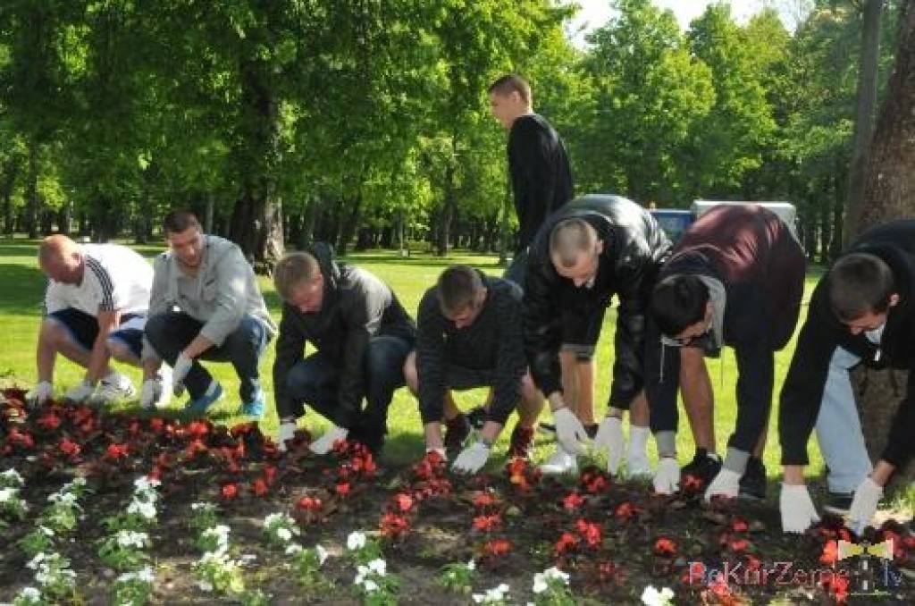 No basketbolistu veidotās puķu dobes Raiņa parkā nozog stādus