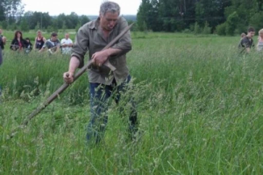 Durbes novadā iedzīvotāji sacentīsies daiļpļaušanā, kā arī zāles plūkšanā ar rokām