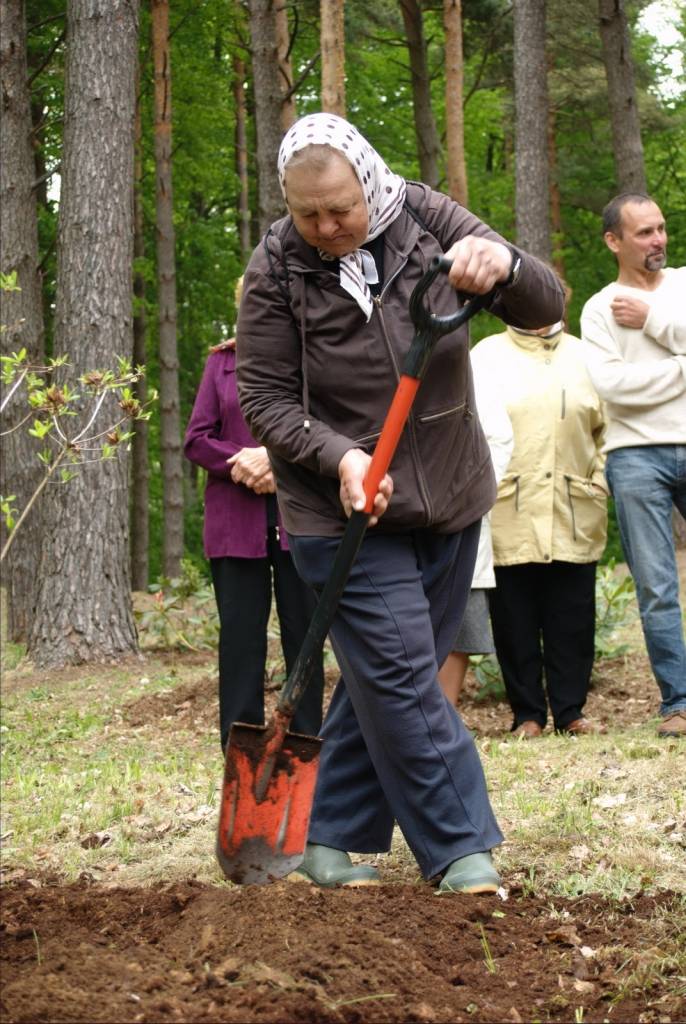 Rododendru dārza svētki Cīravā