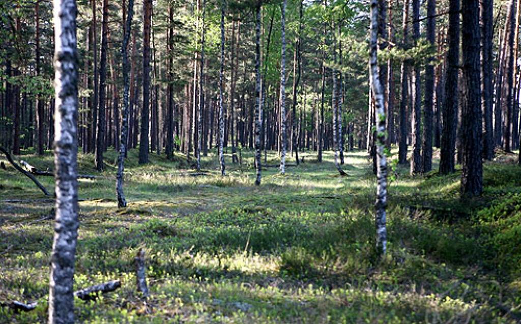 Tautsaimniecības vērtētāji apmelo Latviju