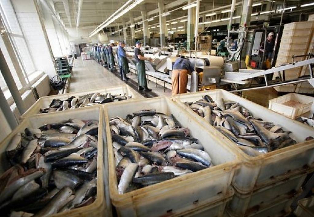 Politiķi: Lai lauku iedzīvotāji paliktu savās pašvaldībās, jāveicina uzņēmējdarbība un jānodrošina darba vietas