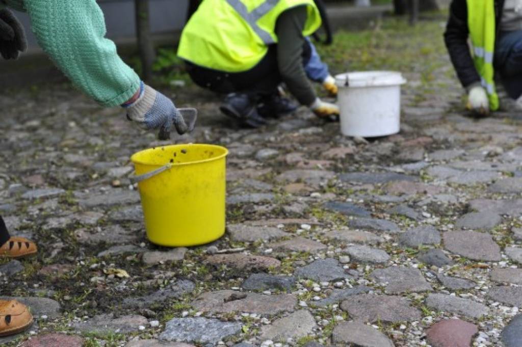 NVA: nākamgad 100 latu programmu aizstās algoti pagaidu sabiedriskie darbi