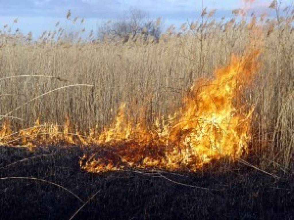 Liepājā noteiktas kūlas dedzināšanas riska vietas