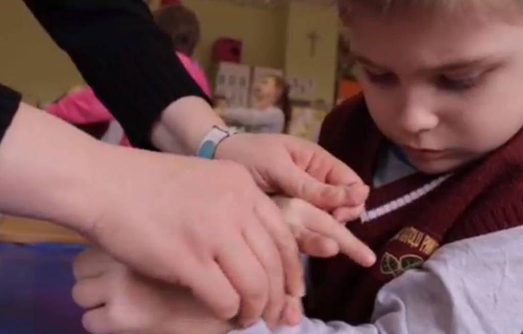 Labdarības akciju "Tev, Dāvid!" noslēgs ar skolēnu un skolotāju veidotu uzvedumu