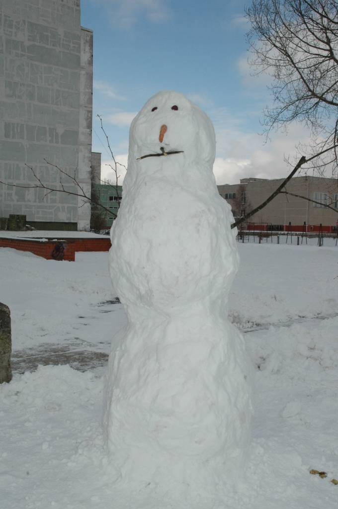 Vidzemē uzsnidzis 12 centimetru biezs sniegs