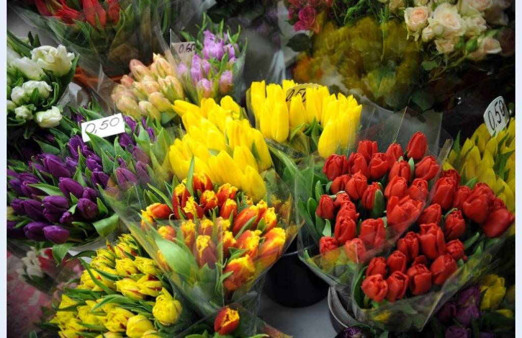 Absolūtais vairākums Latvijas sieviešu priecātos saņemt apsveikumus 8.martā