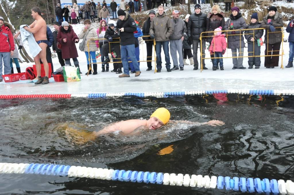 FOTO: Liepājā peld "roņi"