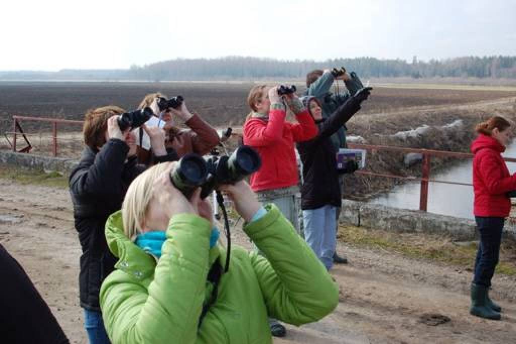 Pavasarī jau otro reizi notiks putnu vērošanas sacensības "Latvijas valsts mežu Putnu rallijs"