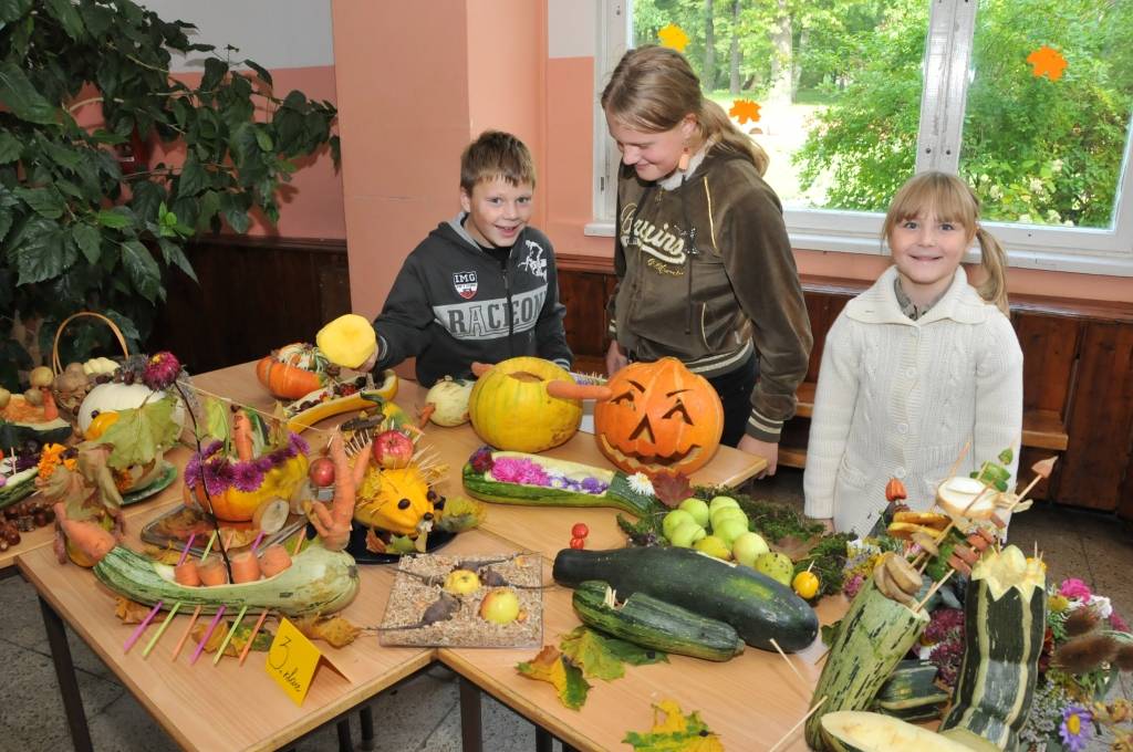 Ražas izstāde Kapsēdes pamatskolā