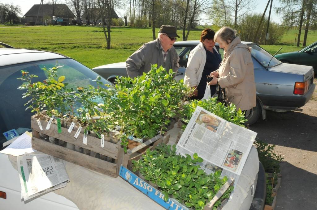 Pavasara sagaidīšana un talkošana