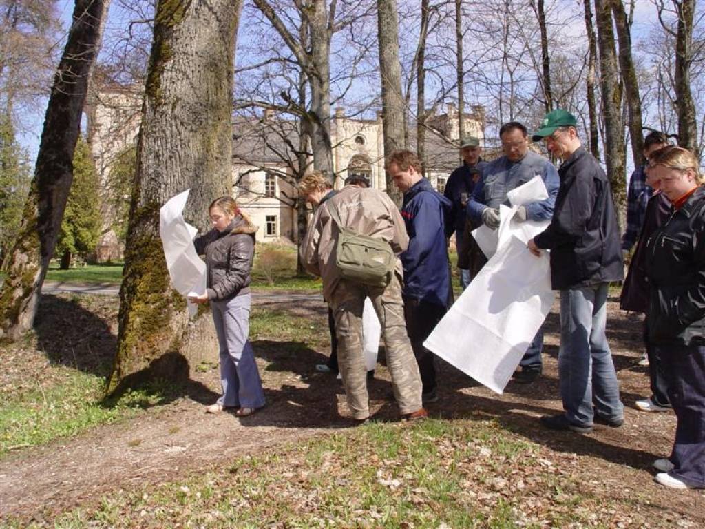 Lielā talka Cīravas arodvidusskolas apkārtnē 