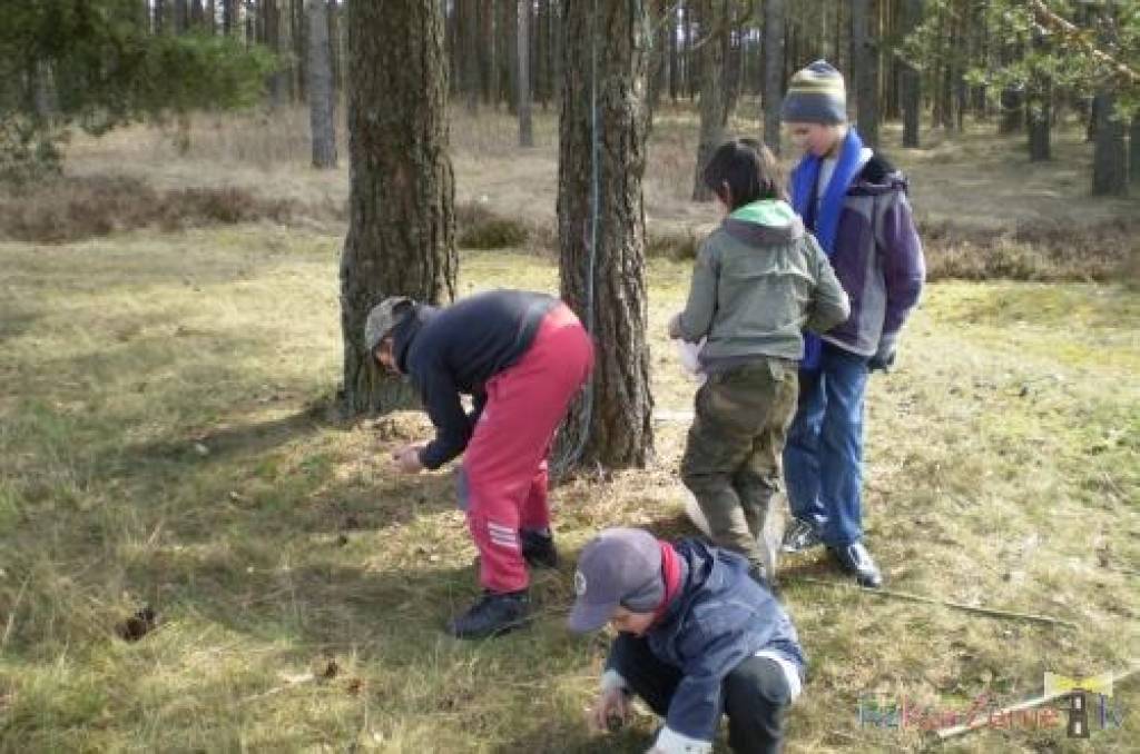 Grobiņas pagastā tuvina mērķi par brīvdabas kapelu