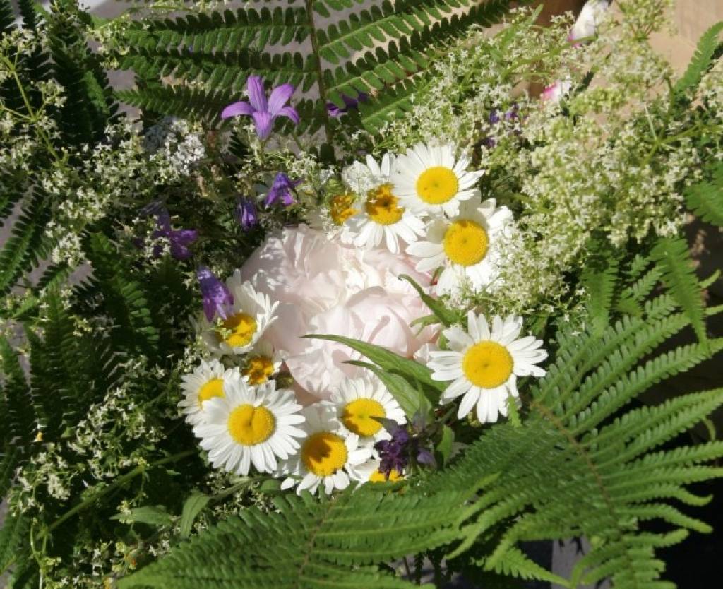 Šogad Līgo un Jāņi būs vieni no karstākajiem pēdējās desmitgadēs