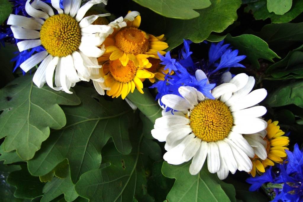 Par Ielīgošanas pasākumiem un Līgo svētku svinēšanu Liepājā