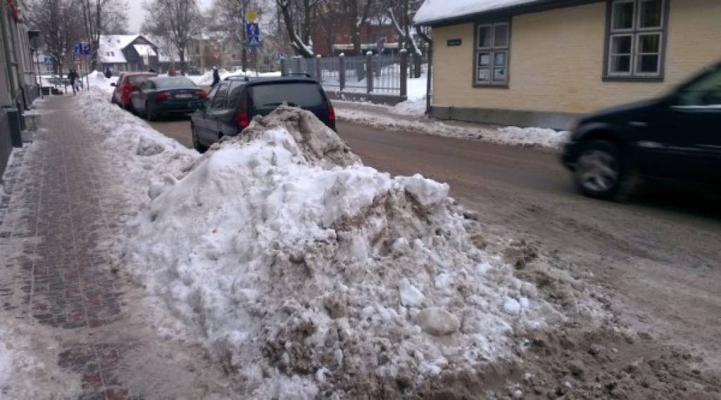 Ziemas dienests uzsācis gūliju tīrīšanu