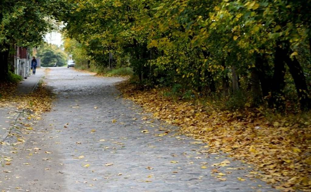 Sniega vēl nebūs