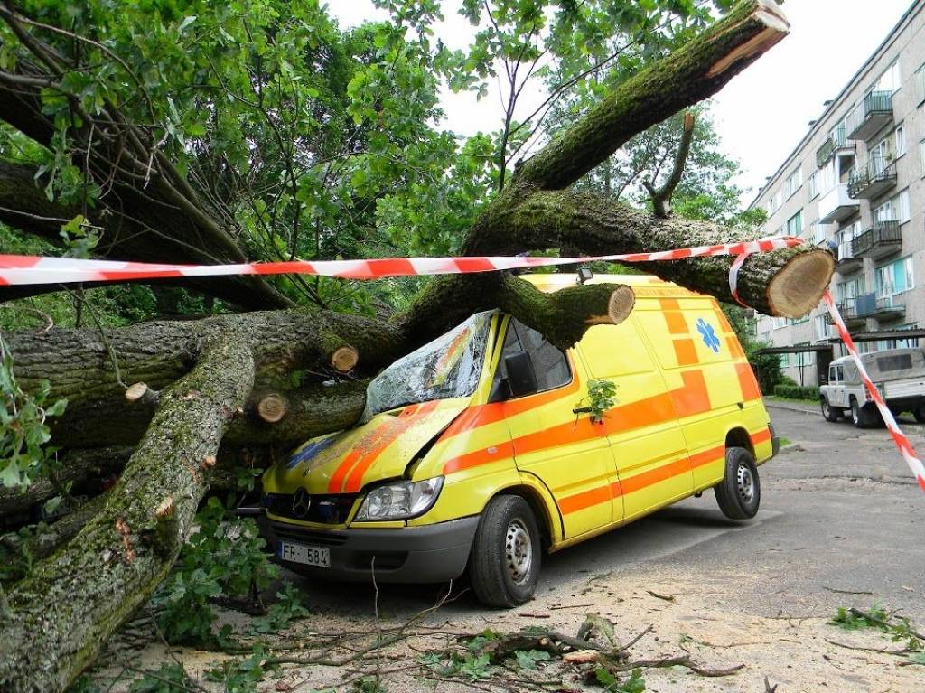 Papildināta - Rīgā milzīgs ozols sadragā desmit automašīnas