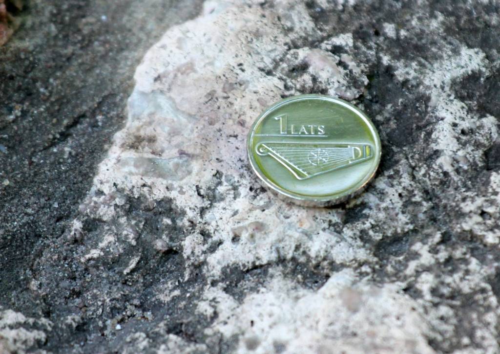 Vilks: vai tiešām kāds vēlas latu, kura vērtība mainās katru dienu?