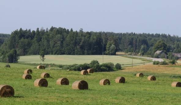 No nedēļas vidus atgriezīsies silts un vasarīgs laiks