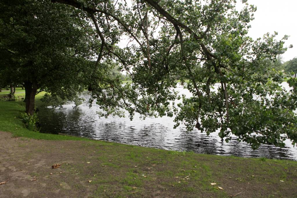 Daugavpils novadā dīķī noslīcis vīrietis