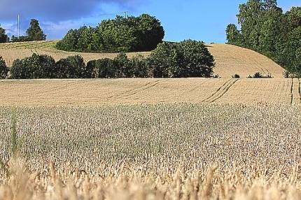 Latvijai ES būs jāatmaksā 1,2 miljonus eiro no lauksaimniecības fondu finansējuma