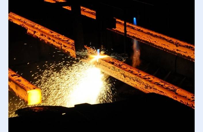 Āboliņš: Valsts kase atbalstīs "Liepājas metalurga" TAP pasākumu plānu