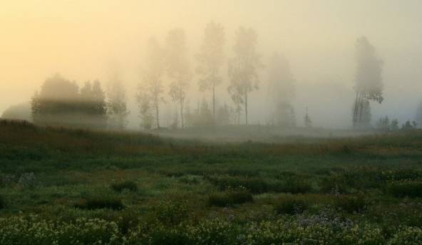 Brīvdienu naktis būs rudenīgi aukstas; dienas saulainas un siltas