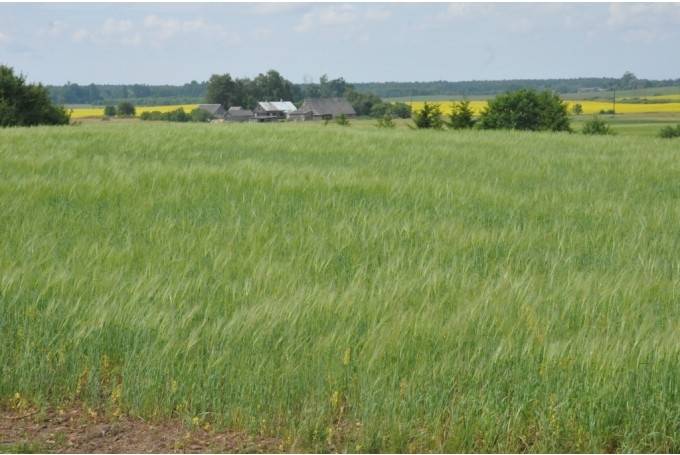 Izsludina konkursu jaunajiem lauksaimniekiem