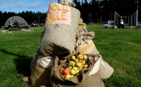 Jūrkalnē gatavojas vērienīgai Ābolu ballei