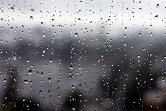 Kurzemē un Zemgalē otrdiena būs nomākusies un līs, citviet brīžiem uzspīdēs saule