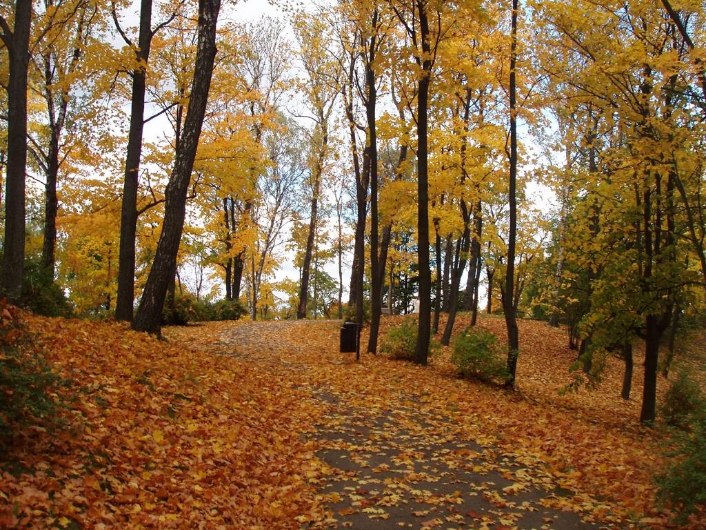 Sāksies astronomiskais rudens