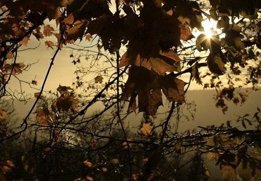 Šonedēļ pirmā rudens vētra, stipras lietavas un, iespējams, pirmais slapjais sniegs